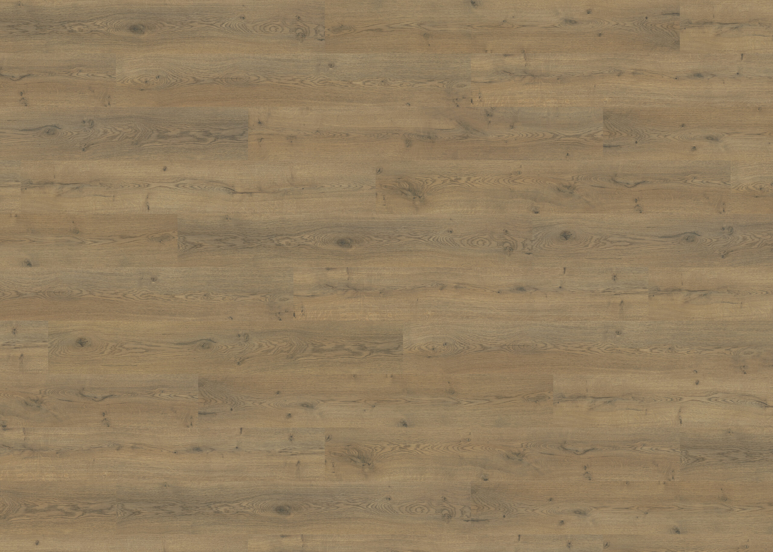 HARO Laminat Eiche Lombardia – Raumansicht