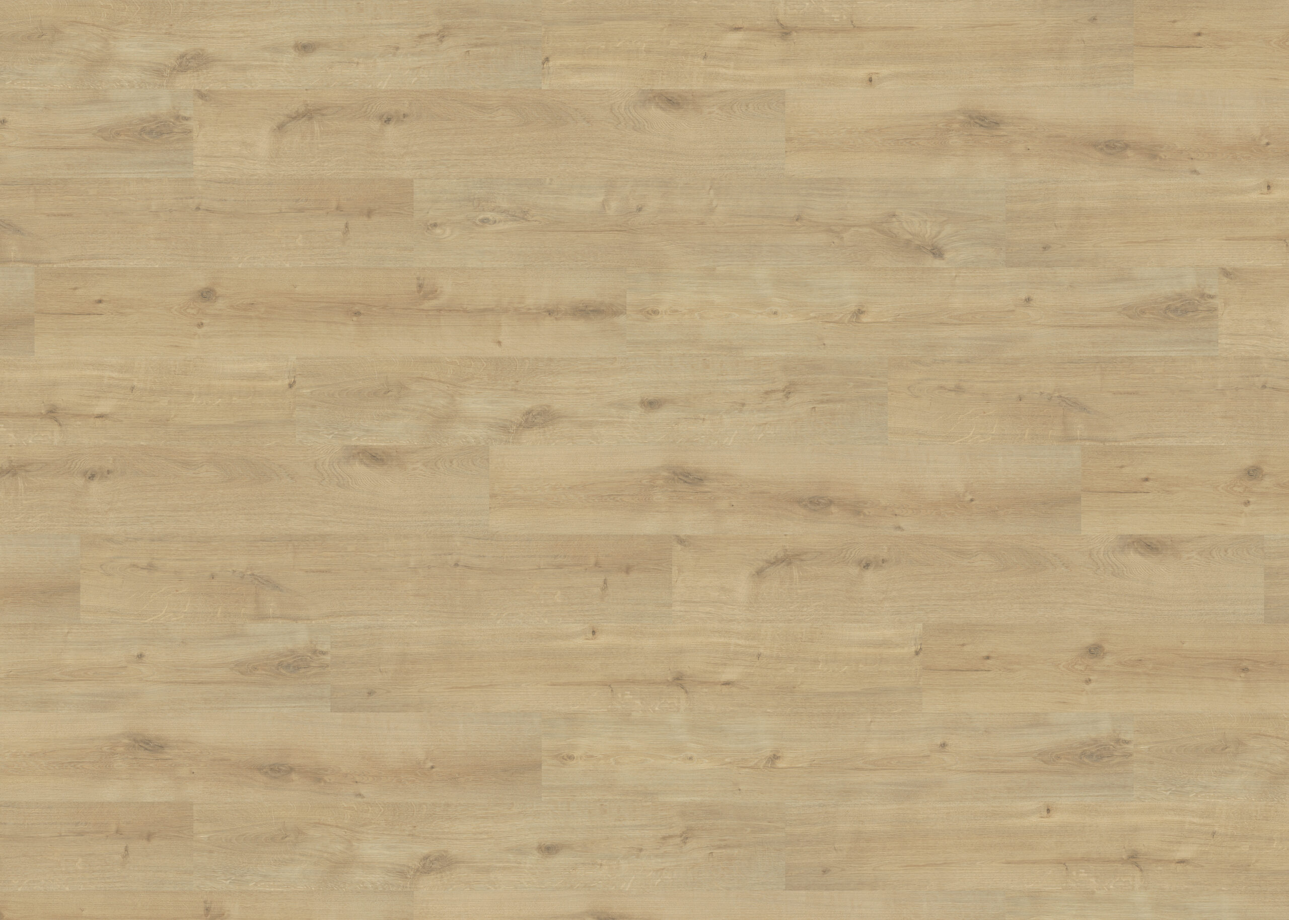 HARO Laminat Eiche Siena puro – Raumansicht