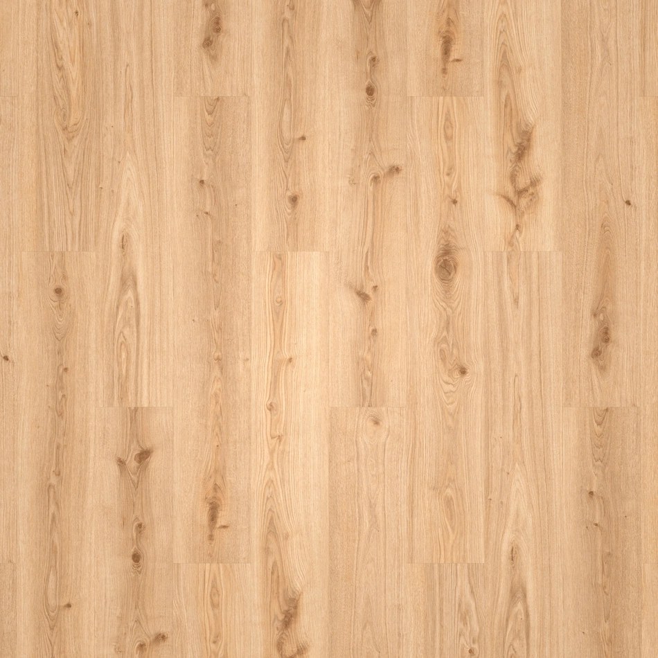 Tarkett Living Rigid 55 Primary Oak Light Brown – Draufsicht auf das helle Eichendekor